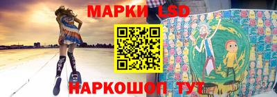 спайс Кингисепп