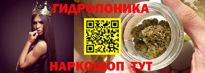 спайс Кингисепп