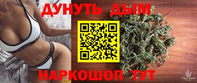 спайс Кингисепп