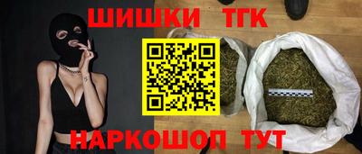 спайс Кингисепп
