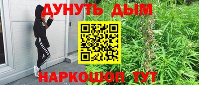 спайс Кингисепп