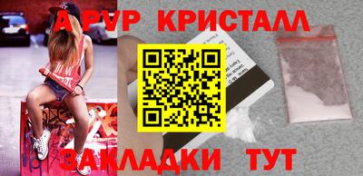 спайс Кингисепп