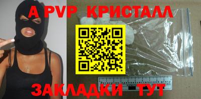 спайс Кингисепп