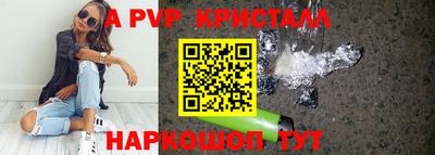 спайс Кингисепп