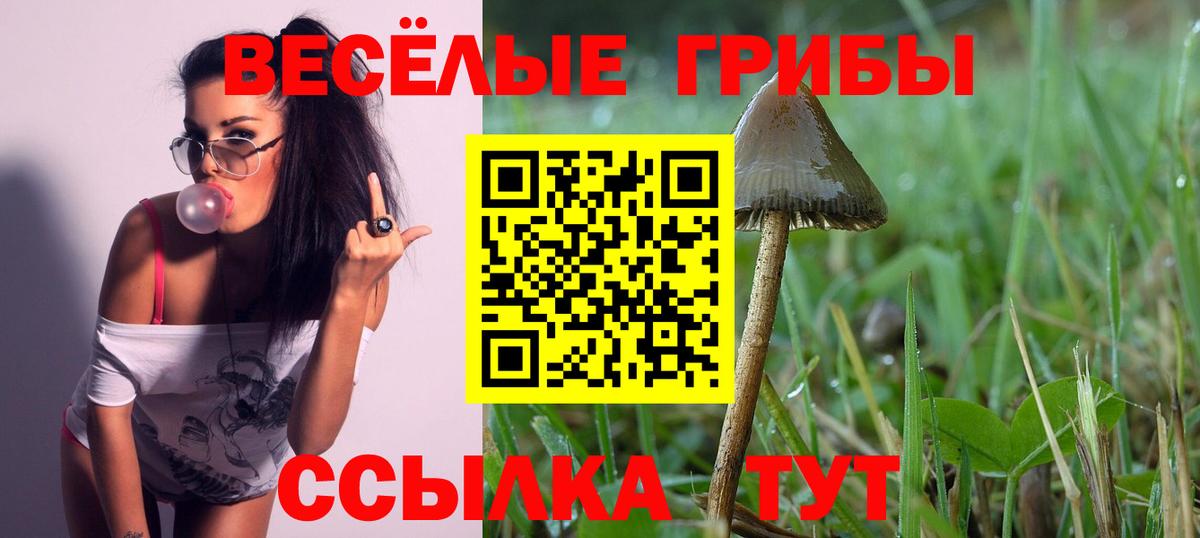 Псилоцибиновые грибы Psilocybine cubensis  Вход с VPN  Краснокаменск  Псилоцибиновые грибы мицелий 
