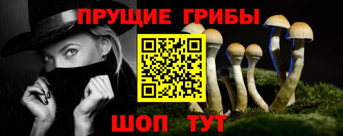Псилоцибиновые грибы Psilocybine cubensis Краснокаменск